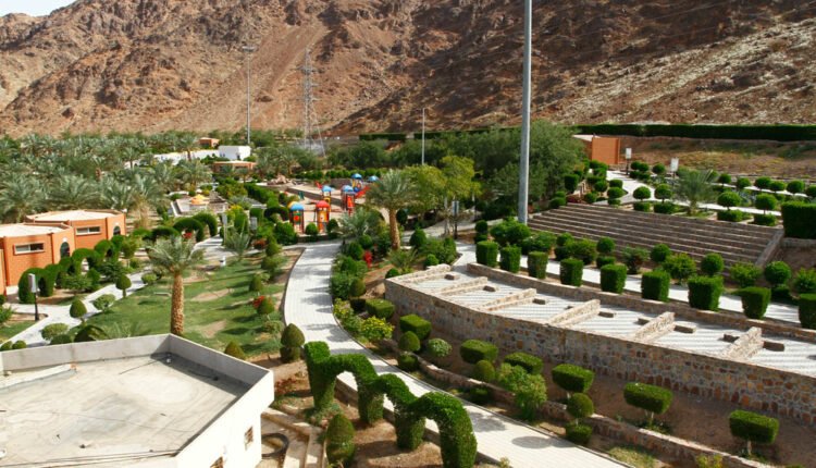 حديقة الأمير محمد بن عبد العزيز
