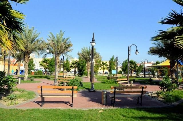 حديقة النخيل المدينة المنورة من أماكن التنزه في المدينة المنورة.
